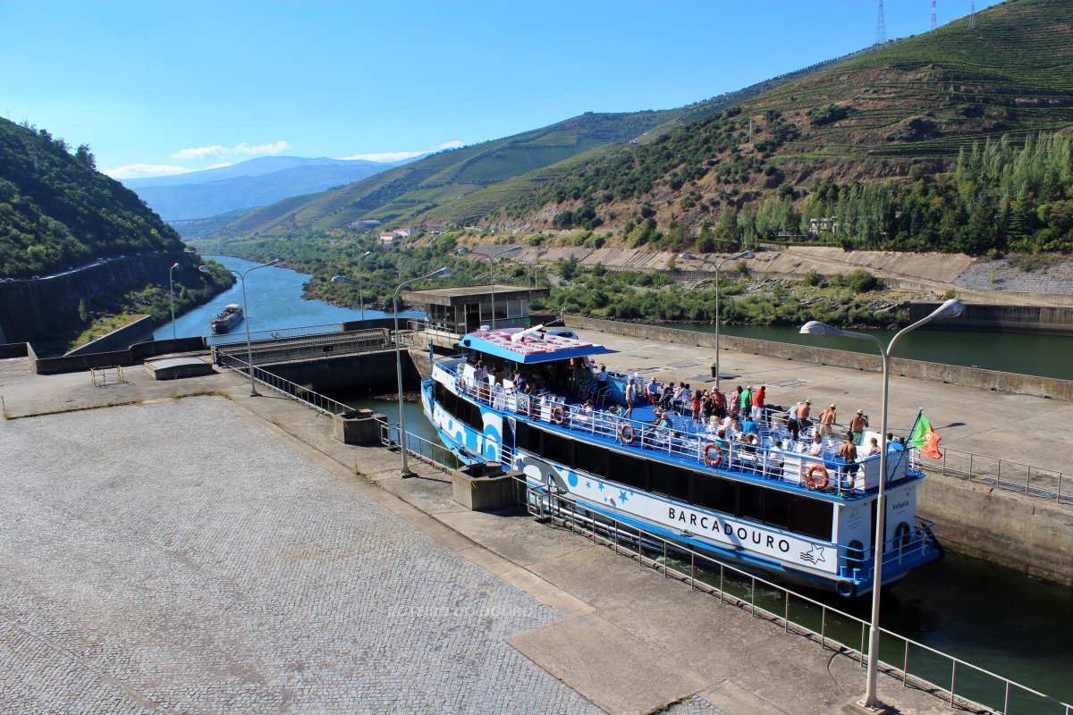 Douro cruise