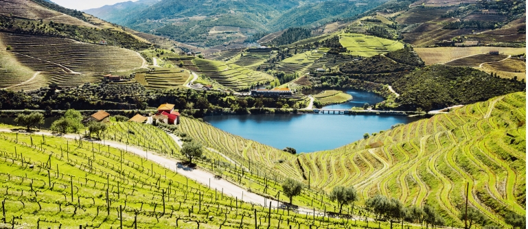 Douro cruise